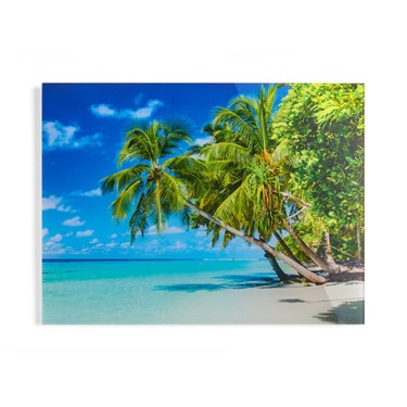 Foto auf Acrylglas für Zuhause Weißer Hintergrund