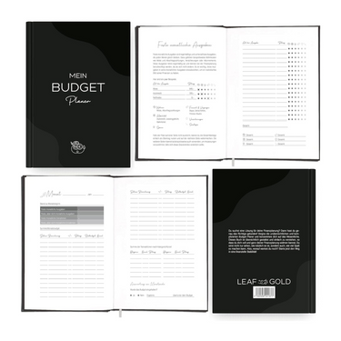 Mein Budget Planer – Finanzplanung Buch mit Monatsübersicht und Ausgabenverfolgung für finanzielle Stabilität